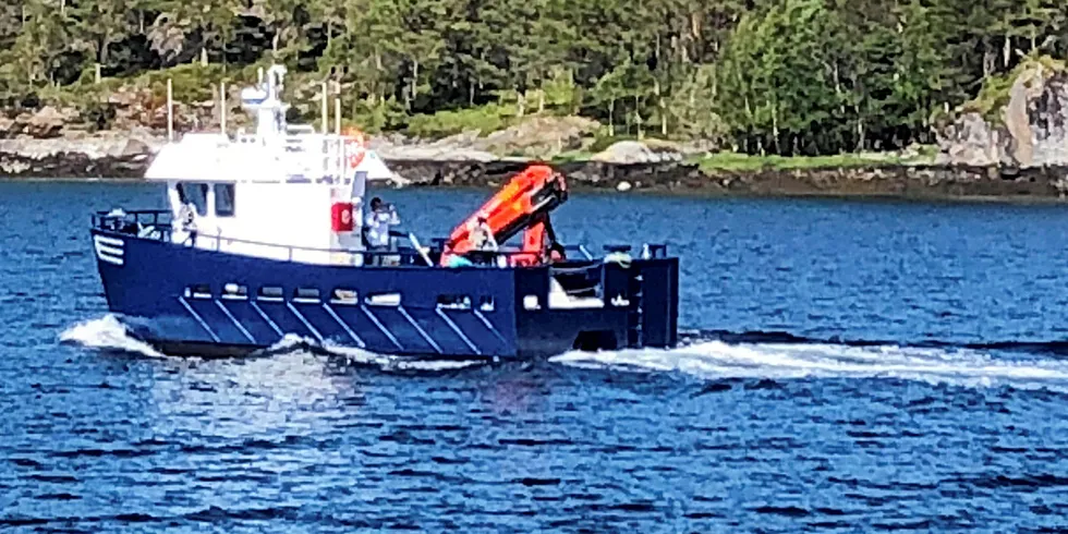 «Tørhaug» er den første blåskjellbåten Sletta Verft har bygget.