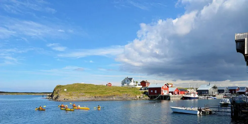 SÅRBART: Den sårbare naturen og fuglelivet i verdensarvområdet i Vega kommune må skjermes mot fôrflåter og lakseanlegg.Foto: Rune Ytreberg