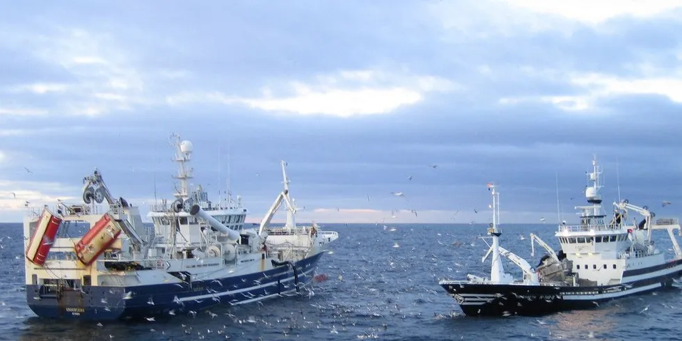 Fiskebåt og Pelagisk Forening er uenige om behovet for en midlertidig rederikvoteordning. Illustrasjonsfoto