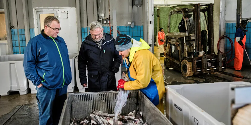 Havressursloven sier at fiskeressursene skal komme kysten til gode, ikke bare et fåtall redere, skriver Steinar Eliassen (i midten på bildet) og Arnold Jensen i dette innlegget. Bildet er fra fiskemottaket Nordvågen.