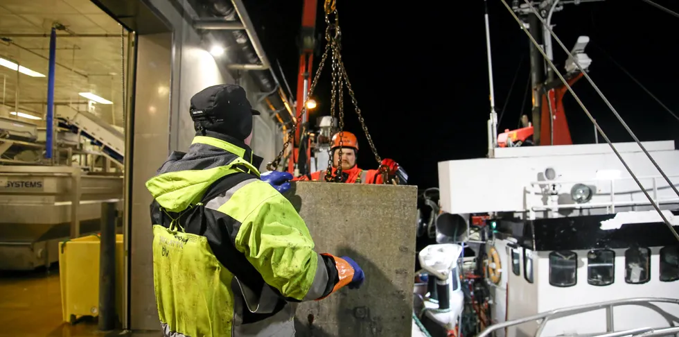 Mer råstoff er nå tilgjengelig for en åpen konkurranse hvor alle registrerte norske kjøpere kan delta, skriver Svein Ove Haugland, administrerende direktør i Norges Råfisklag.