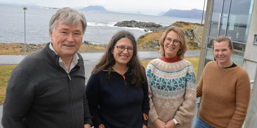 HI-forskere samlet på Runde Miljøsenter for å forske på havvinds sameksistens med fiskeri. Fra venstre: Nils-Roar Hareide, Karen de Jong, Anne Christine Utne Palm og Maria Tenningen.