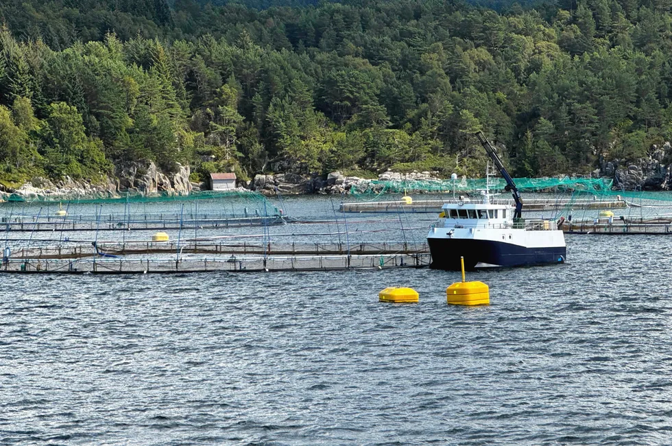 Lokaliteten Kvernavika til Lerøy er en av dem som fikk varsel om nedtrekk. Lerøy er også ett av mange selskap som går rettens vei for å få utsatt årets nedtrekk.