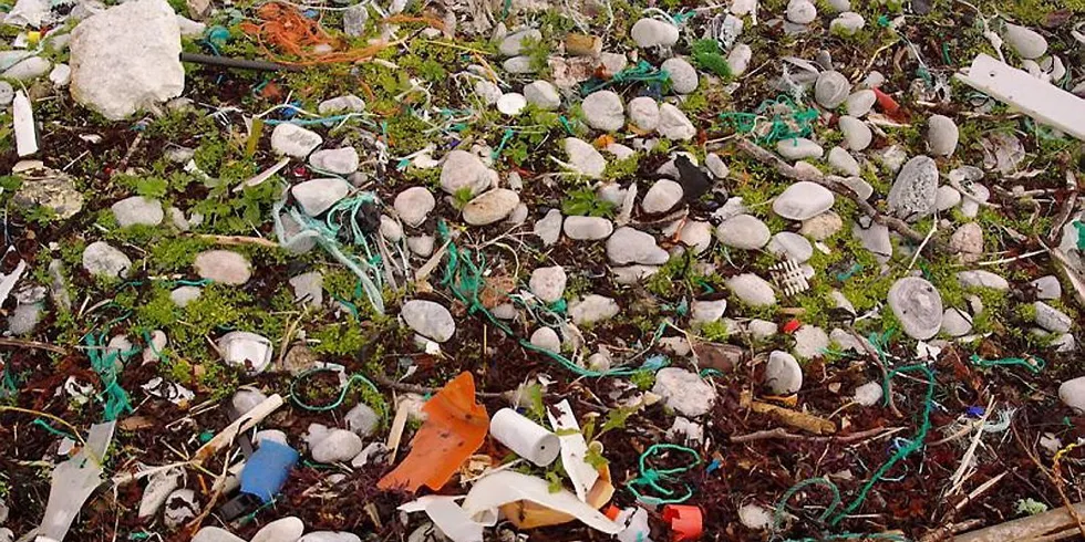 Store mengder plast samles i havet og på strendene i verden. Over tid brytes plast ned til stadig mindre biter som vanskelig lar seg samle effektivt. De vil likevel fremdeles finnes lenge. Taurestene her har estimert nedbrytingstid på 500 år. Illustrasjonsfoto: Bo Eide