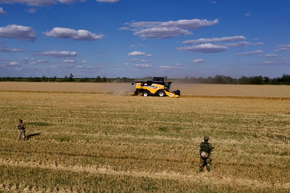 Ukraina produserer i et normalår mat til en halv milliard mennesker, skriver artikkelforfatterne. Bildet: Russiske soldater overvåker innhøsting av hvete nær Melitopol i sørøstre Ukraina i juli.