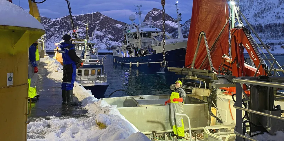 Januar blåste bort, men Nergård Fisk i Senjahopen har klart å hente seg greit inn i februar og mars.