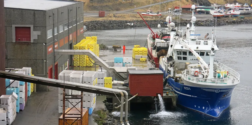 «Leander» ved kai hos Myre Fiskemottak avdeling Honningsvåg i fjor.