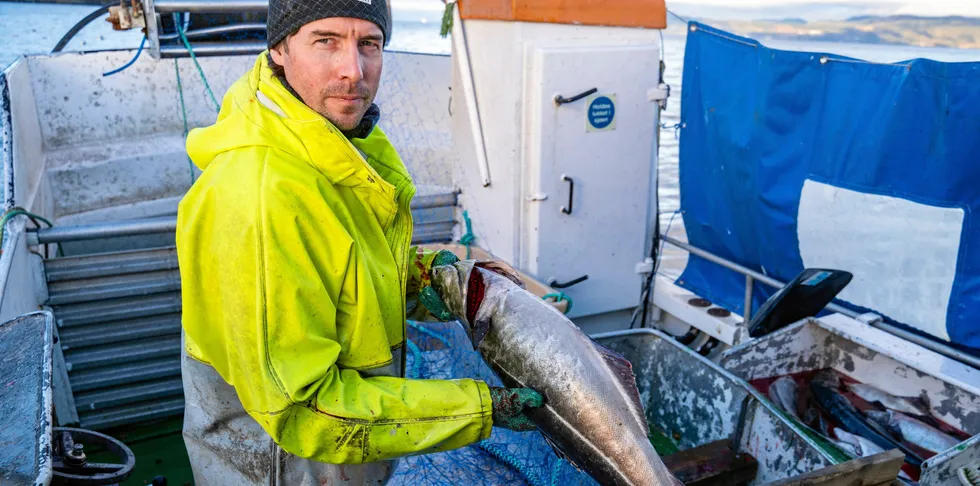 Fisker Petter Laukslett Tande satser på garnfiske i Trondheimsfjorden.