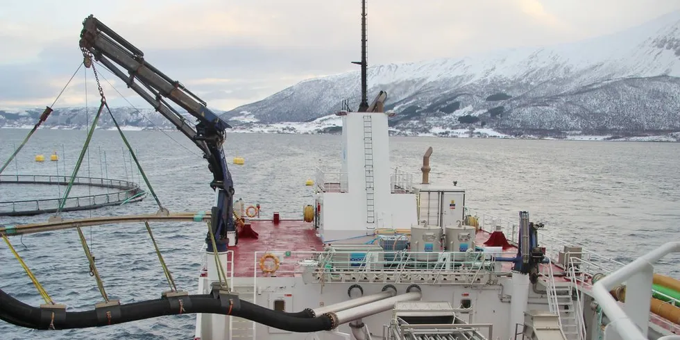 Brønnbåten "Bjørg Pauline" henter laks fra Nordlaks-lokaliteten Holandselv i Kvæfjord kommune i Troms. Foto: Anders Furuset.