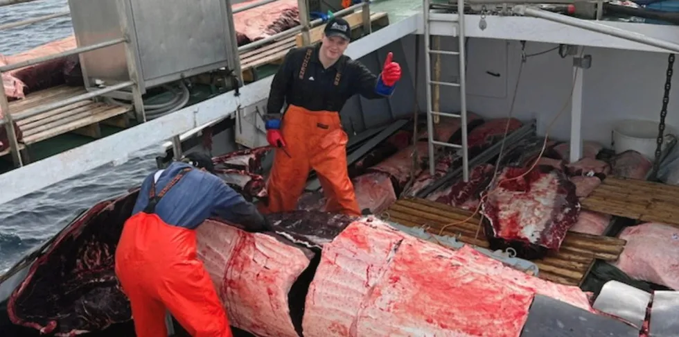 Henning Olsen har fått prøvd seg på det meste under hvalfangst.