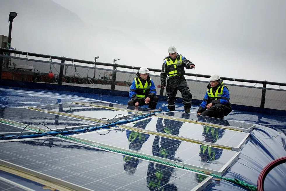 I 2017 hadde selskapet utviklet et testanlegg for flyende solceller ved Skaftå i Sørfjorden, men det er et litt annet type og større anlegg de nå er med å utvikle i Sør-Korea. I midten står daglig leder og gründer Børge Bjørneklett.