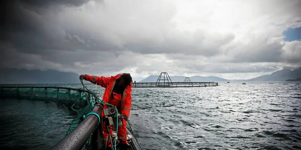 Fylkene kan få noen flere oppgaver knyttet til lokalisering av havbruksanlegg senere, men ikke nå mener regjeringen.Foto: Eivind Senneset