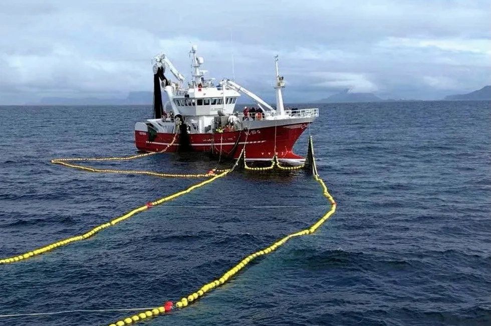 I august i fjor klarte forskerne fra Havforskningsinstituttet, fiskebåten «Vestbris» og Fiskeridirektoratets «Fjordgyn» å overføre makrellstørje fra not til en egenutviklet transportmerd, som de tauet til land.