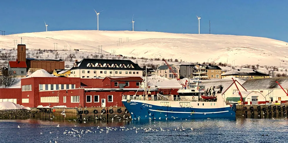 Båtsfjordbruket advarer om en falsk nettside.