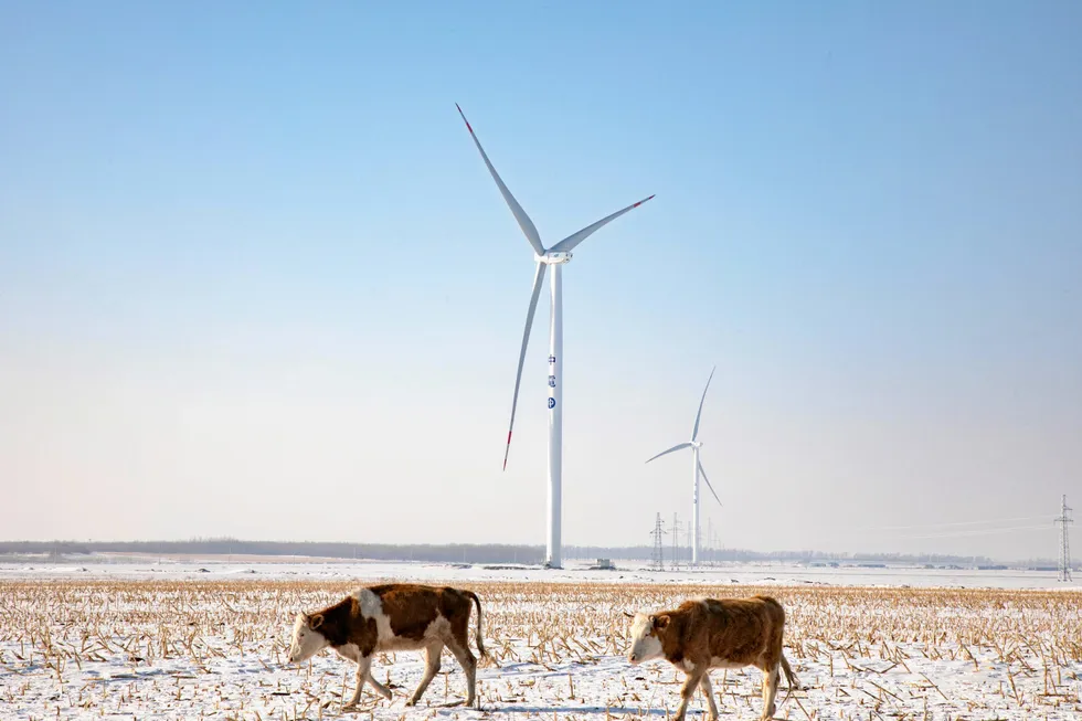 A wind farm that services Amazon operations in China's northwest Jilin province.