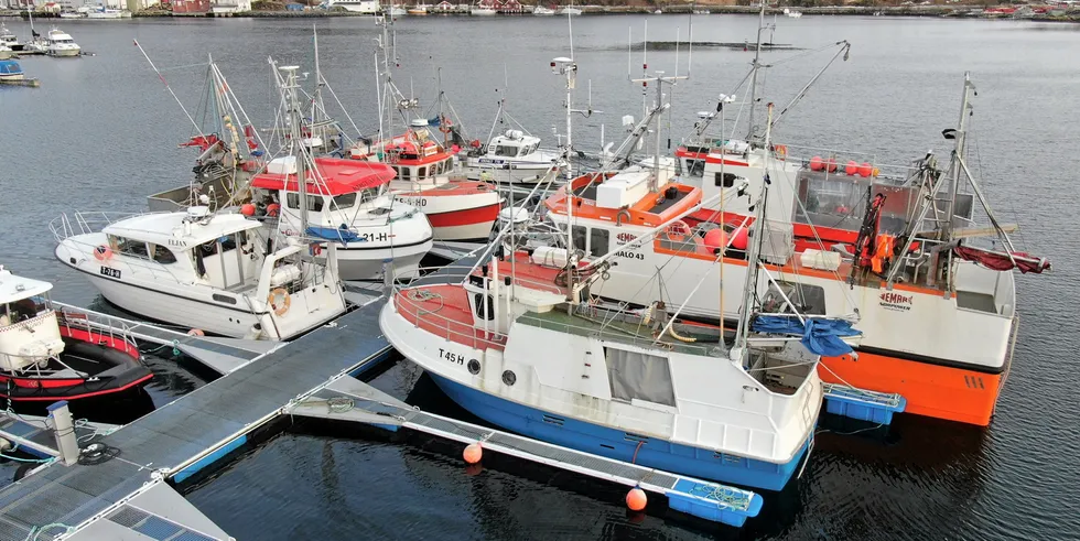 De lokale fiskerne som har base i Harstad Fiskerihavn (bildet) har ikke primært sitt utbytte fra helt lokale fiskerier. Men de fleste har likevel kunnskap og kompetanse fra nærområdet som Fiskeridirektoratet gjerne hører.