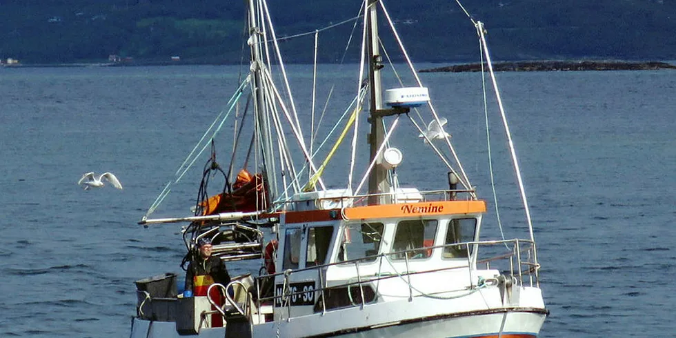 SEI OG TORSK: Åpen gruppe-sjarken «Nemine» fra Sortland er en av båtene som i det siste har drevet seifiske med torsk som bifangst.