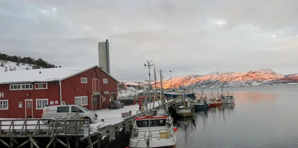 Nytt fiskeriselskap starter opp i Alta. Her fra Alta fiskerihavn.