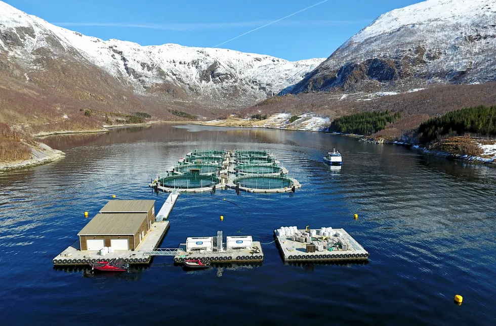 Akva Future's closed sea cages: just one of the industry's attempts to innovate to combat sea lice.