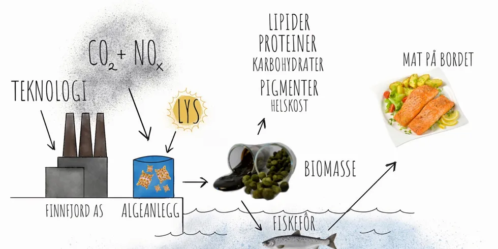 I Grønn plattform - prosjektene AlgScaleUP og AlgOpti vil man bruke CO2-rik røykgass fra ferrosilisium for å utvikle den teknologiske og biologiske plattformen som trengs for å oppskalere produksjonen av mikroalger i såkalte «store vertikale kolonnefotobioreaktorer.