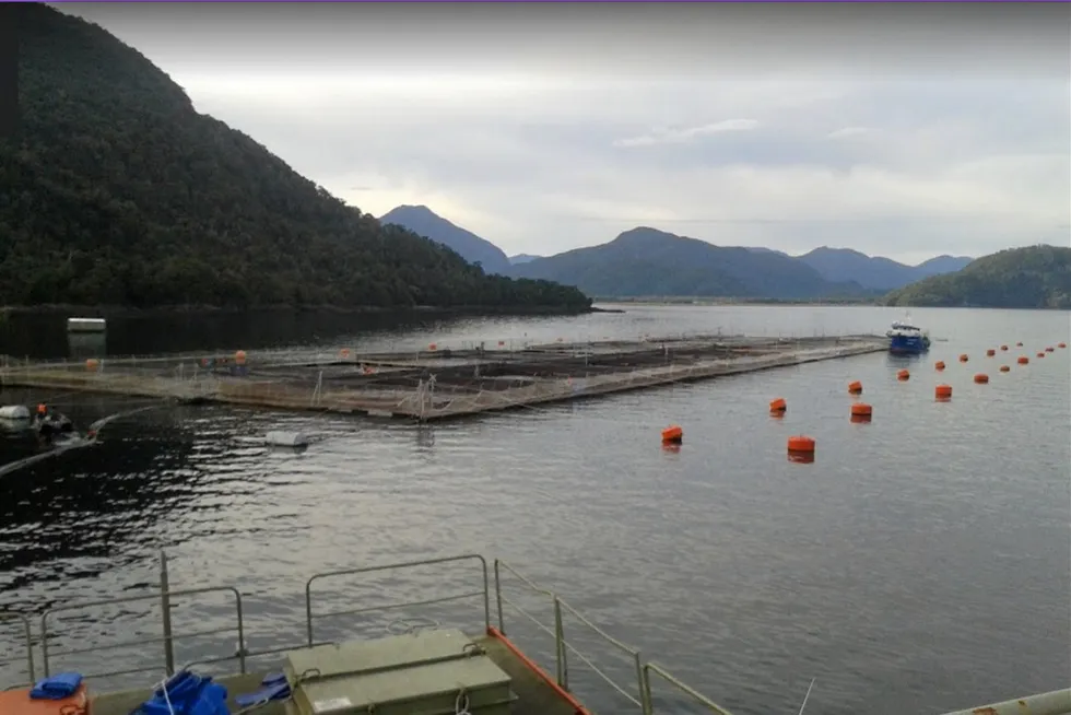Chilean salmon farms are likely to face even greater environmental given the country's president is no fan of the industry.