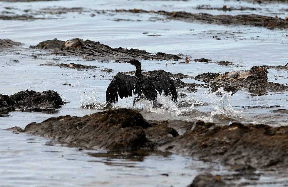 2015 oil spill: Plains convicted of criminal charges
