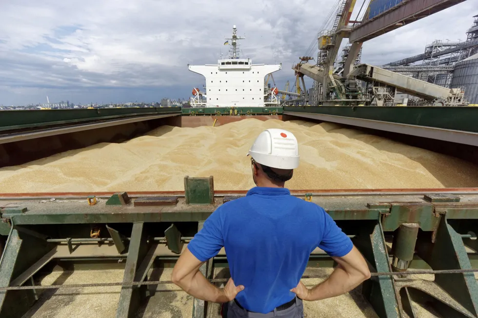 Fraktskip fullt av ukrainsk hvete ved Nikolaev-porten i Ukraina i 2016. Mesteparten av denne eksporten er nå stanset.