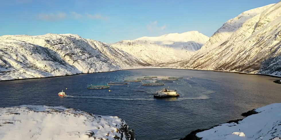 Norway Royal Salmon (NRS) selger rundt 70 000 tonn laks hvert år. Dette tilsvarer en million laksemåltider per dag, året rundt.