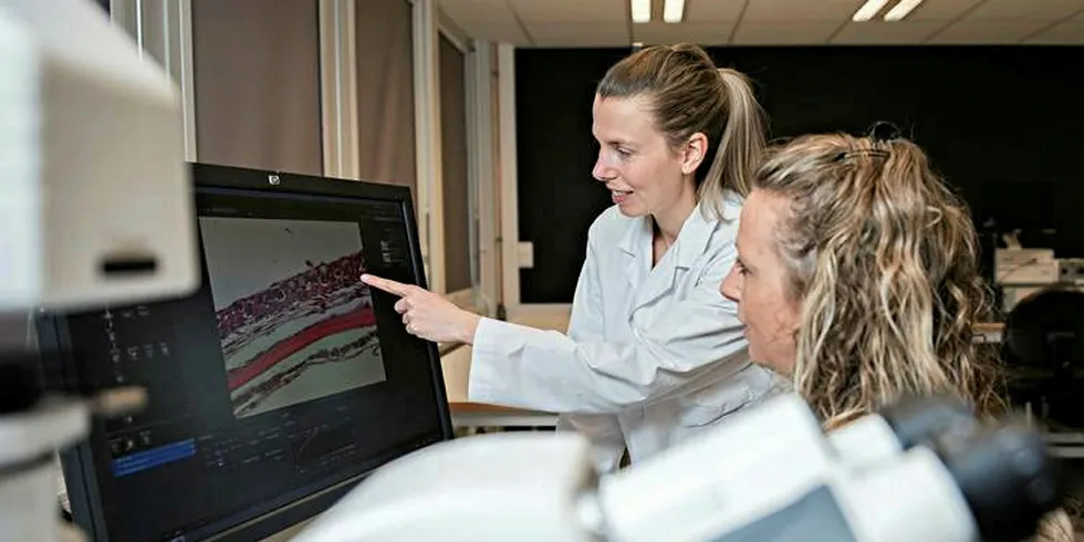 Lene Sveen til venstre og Elisabeth Ytteborg jobber med skinnhelse og sår hos oppdrettslaks.