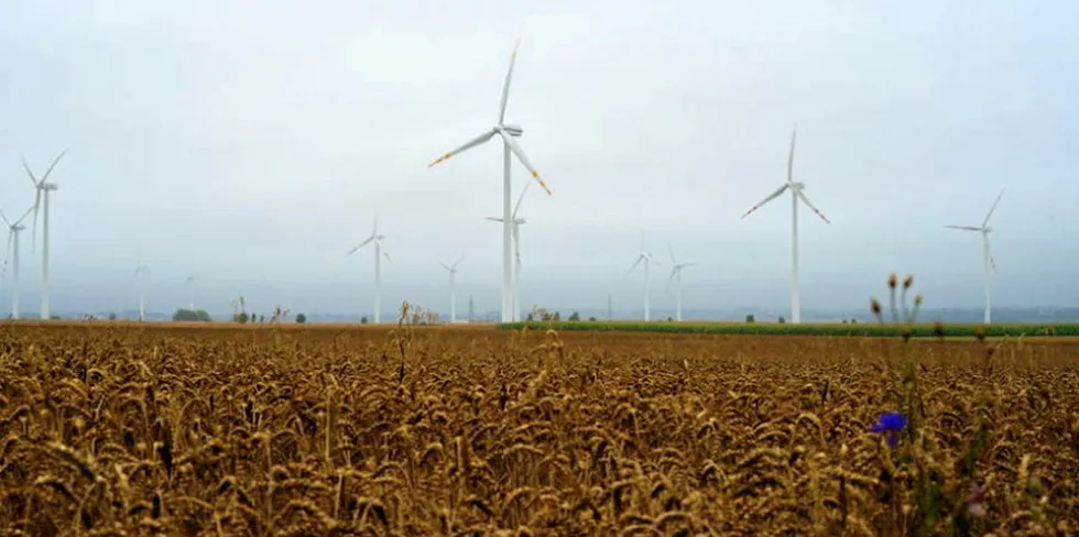 A Viviid Renewables wind farm in India.