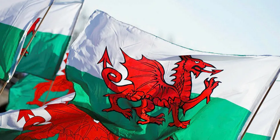 The Welsh flag.