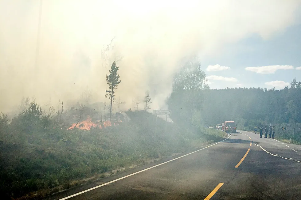 Europa har vært herjet av skogbranner, og Norge har ikke sluppet unna. Her brenner det i Grue kommune i Hedmark i juli.