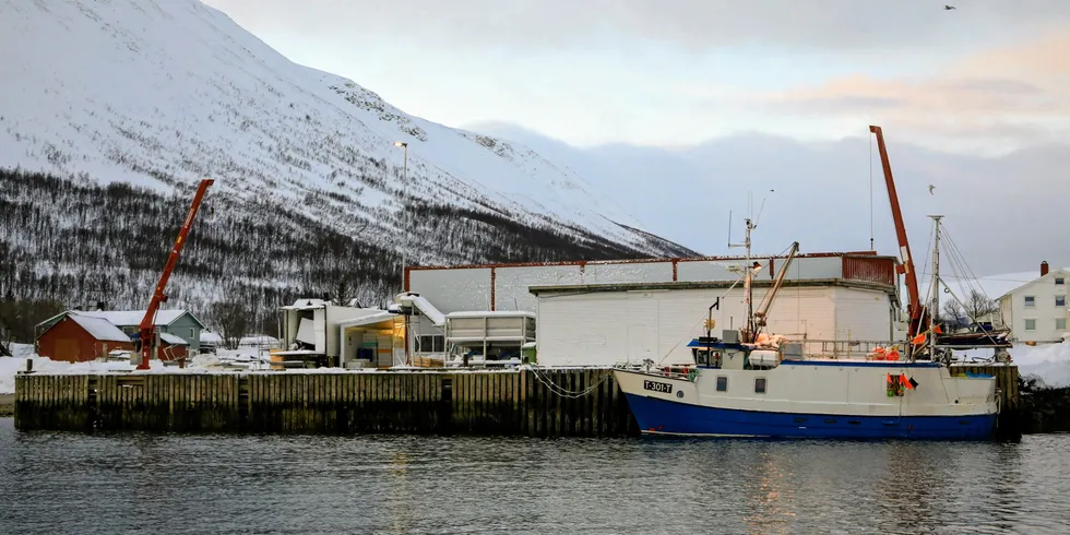 I 2018 sto 30 meter ny fiskerikai ferdig i tilknytning til Oldervik Fiskeindustri. Selv om tilskudd fra staten til kommunale fiskerihavntilskudd ikke skal gi enkeltbrukere eksklusive rettigheter, fikk det lokale fiskemottaket nettopp det.