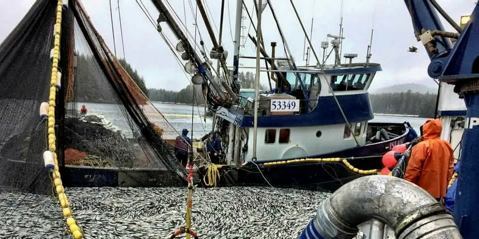 The Sitka sac ro herring fishery was impacted by bad weather this year.