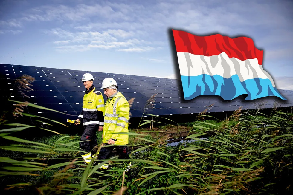 Mye sol i Nederland bidrar til at prisen kollapser onsdag. På sitt verste får Nederland en timepris på -236 øre/kWh.