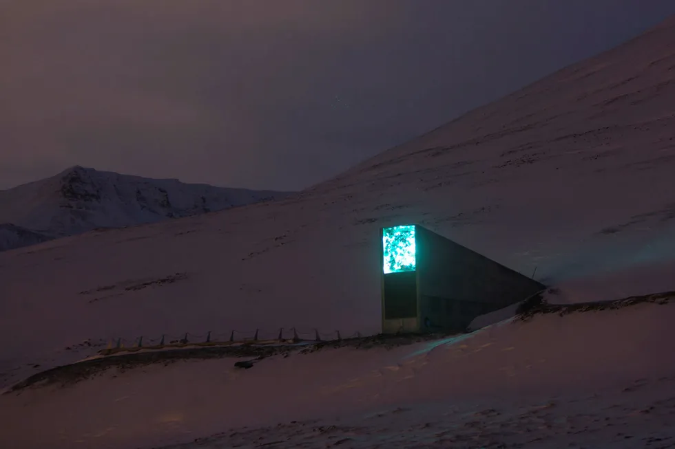 Frølageret på Svalbard Foto: Ekseth, Ivar / NTB Scanpix