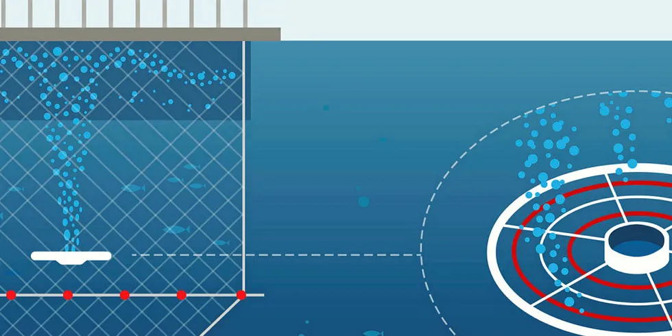 Vard Aqua sitt oppstrømssystem er enkelt, men skal gi gode resultater, mener Svein Arve Tronsgård i Vard Aqua Sunndal.