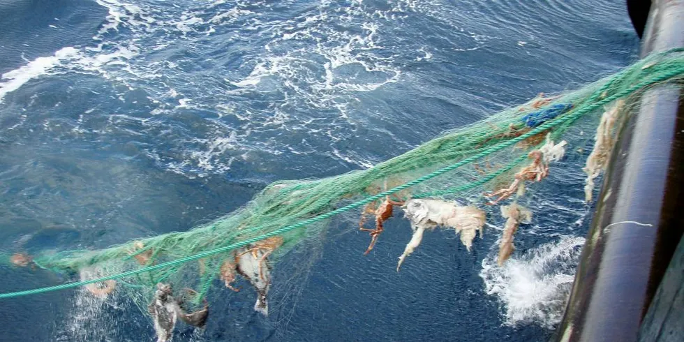 Tapte fiskeredskaper.Foto: Fiskeridirektoratet