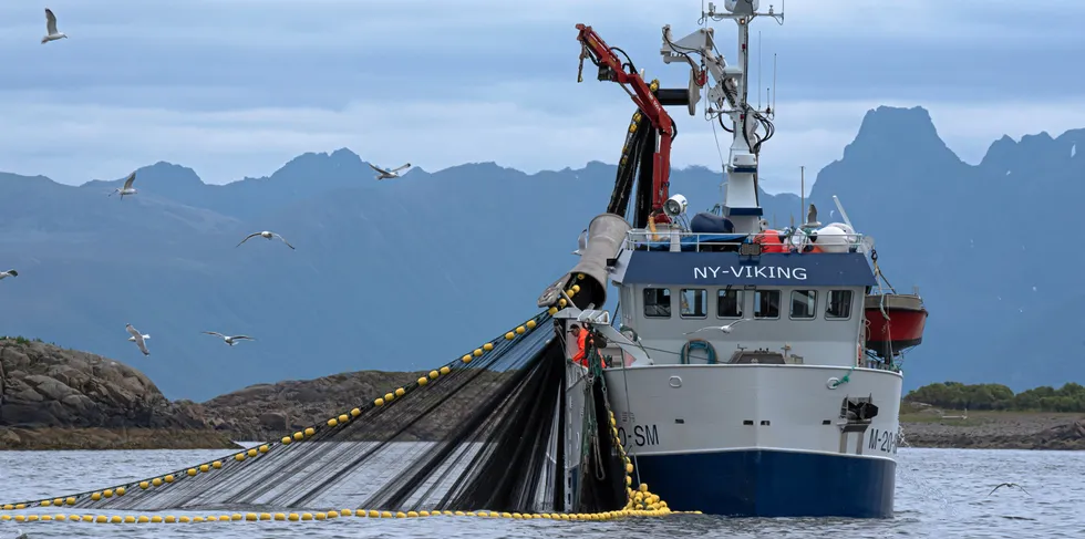 «Ny-Viking» på makrellfiske på Hadselfjorden i Vesterålen i vår.