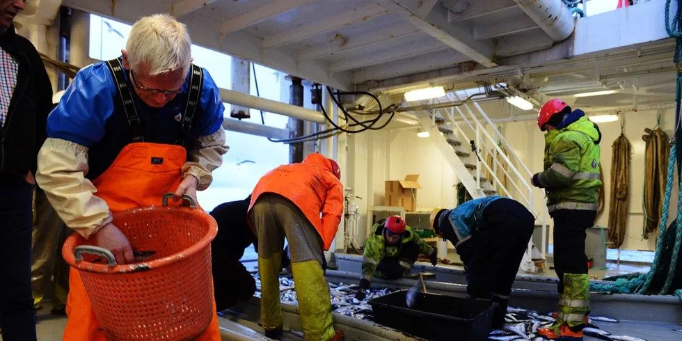 Havforsker Katja Enberg sier sildebestanden fremdeles viser en nedadgående trend, men at årsaken til kvotehoppet først og fremst skyldes endret bruk av forskningsmetoder. Foto: Kjartan Mæstad/Havforskningsinstituttet