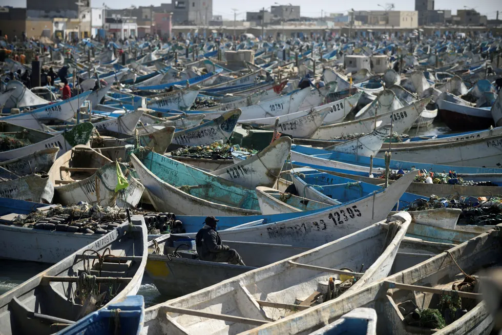 Hydrogen future: fishing boats moored in the harbour at Nouadhibou, Mauritania