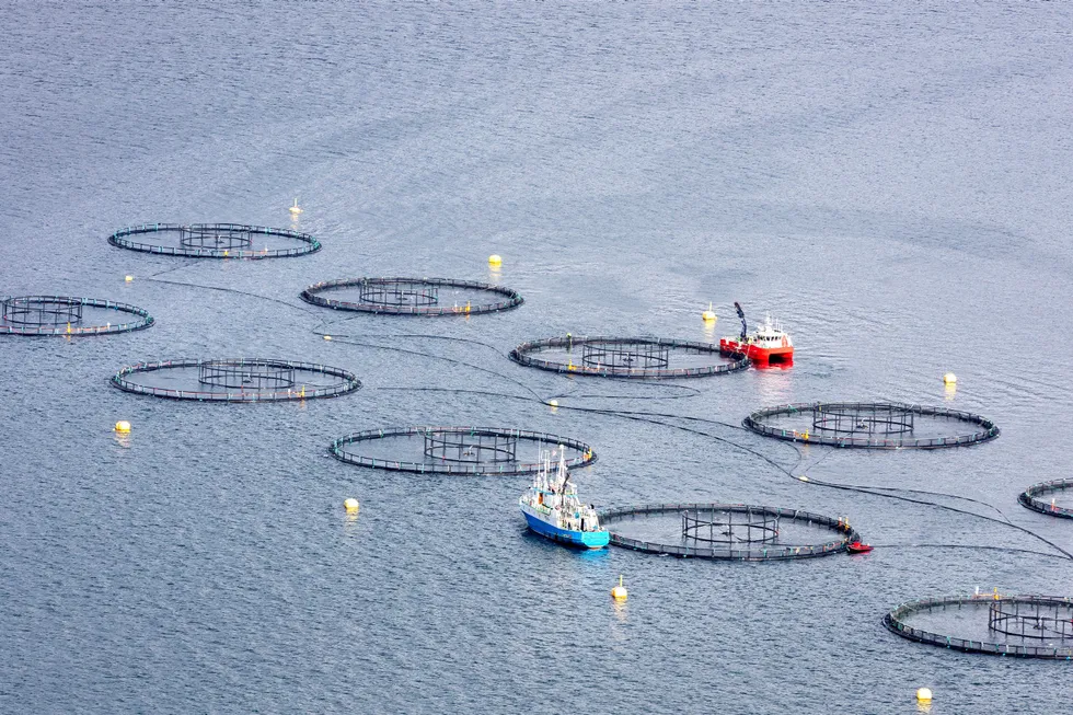 Fiskeoppdretterne har svidd av til sammen 3,8 milliarder kroner. Her: anlegg for lakseoppdrett med spesialbåter for fiskeoppdrett i Sjona, på Helgelandskysten.