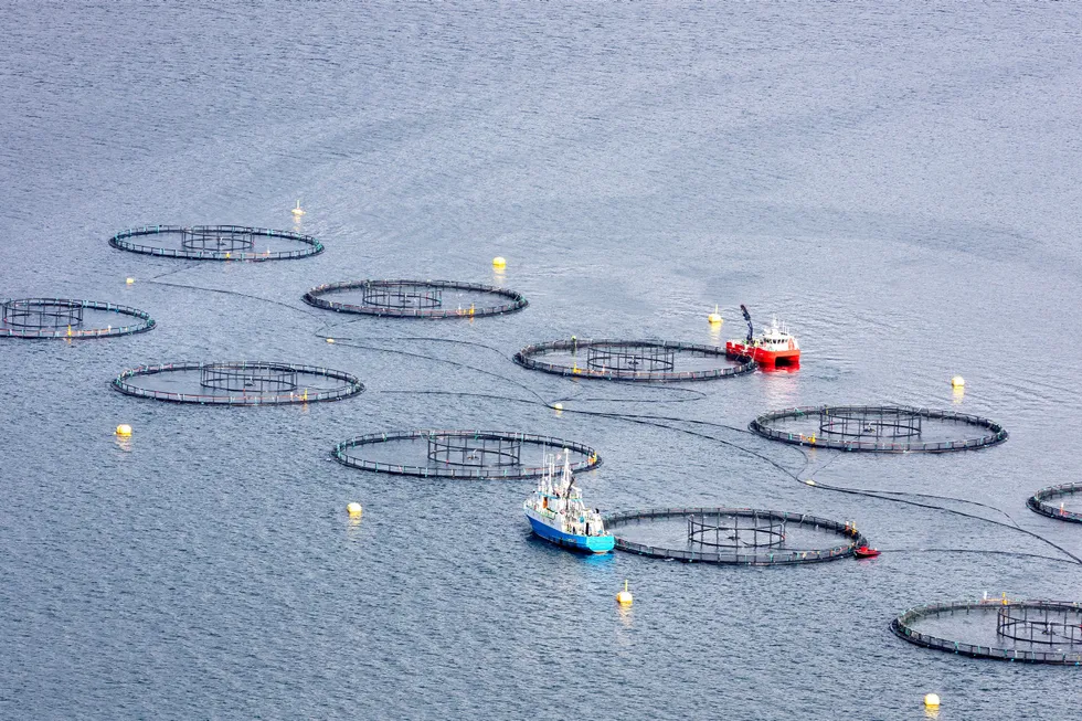 Fiskeoppdrettere punget ut med 3,8 milliarder for nye tillatelser | DN