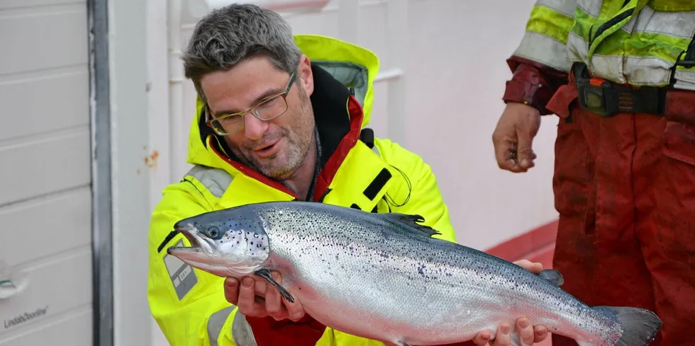 Daglig leder Michael Niesar i Sulefisk AS.