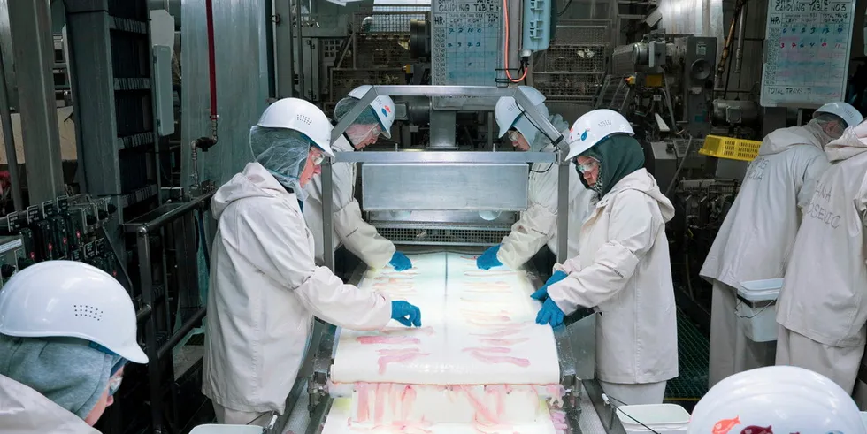 A new US government loophole to close Russian-origin pollock coming in to the US from China has some Alaska pollock producers optimistic in 2024.