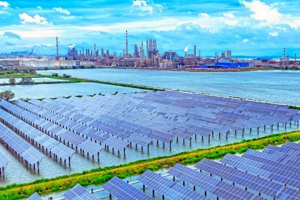 Solar panels at Sinopec's huge refinery in Qingdao, which are being used to provide green electricity for the seawater electrolysis pilot.