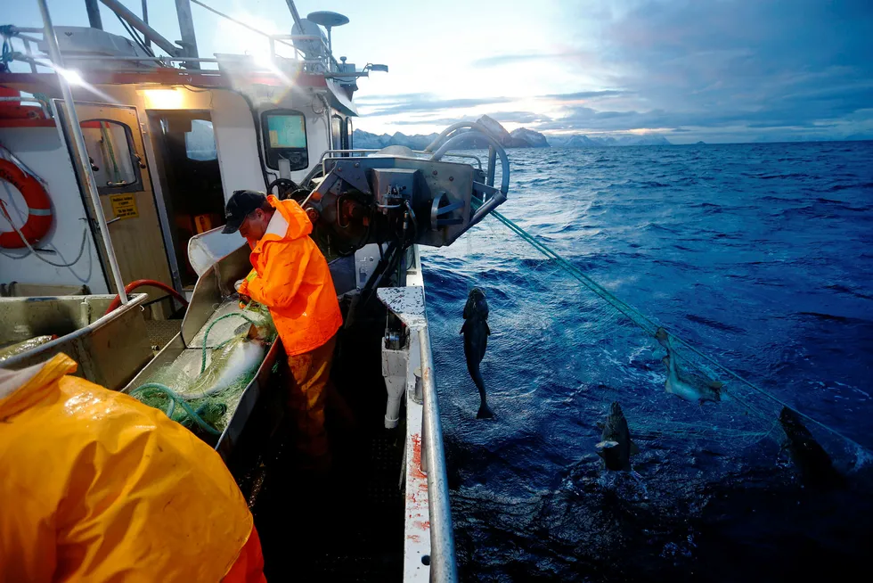 Det er blitt flere fartøy og flere fiskere i Norge det siste året.