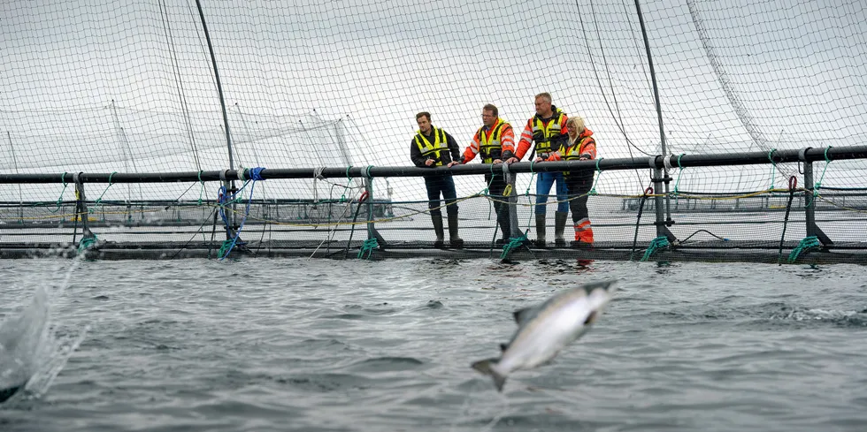 Laksebransjen har fått økt skattetrykk gjennom formuesbeskatning. Ingen klok vurdering, skriver redaktør i Intrafish og Fiskeribladet, Øystein Hage, i denne kommentaren.