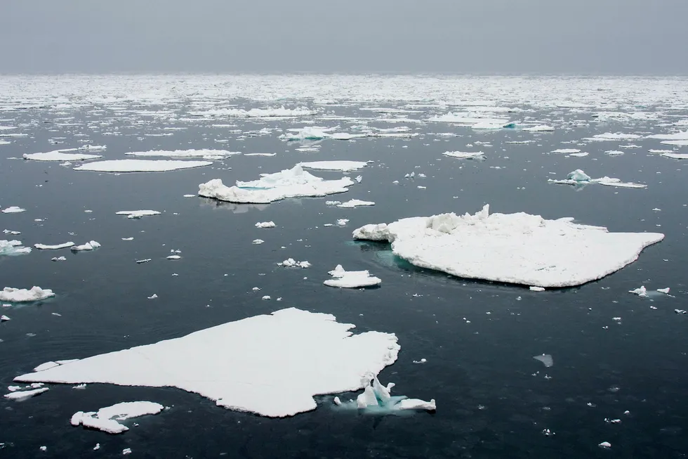 Etter det DN erfarer, har regjeringen landet et kompromiss som betyr at den omstridte iskanten flyttes sørover.