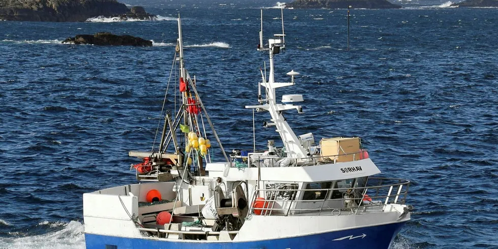 TIDLIG UTE: 10,66 meter lange «Sørhav» fra Elnesvågen har fisket rognkjeks etter at vinterfisket etter torsk var avsluttet midt i mars. Vel 3000 kilo rogn er så langt levert til Torsvågbruket i Nord-Troms.